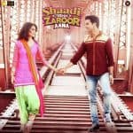 पलो लटके album artwork