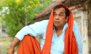 Telugu Comedy Movies