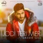 जोड़ी तेरी मेरी album artwork